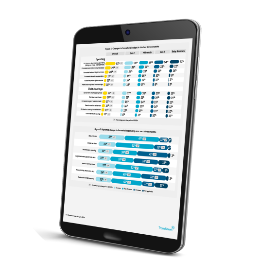 Consumer Pulse Report image
